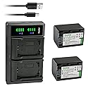 Kastar 2-Pack Battery and LTD2 USB Charger Replacement for Sony DCR-DVD505, DCR-DVD506, DCR-DVD508, DCR-DVD510, DCR-DVD602, DCR-DVD605, DCR-DVD608