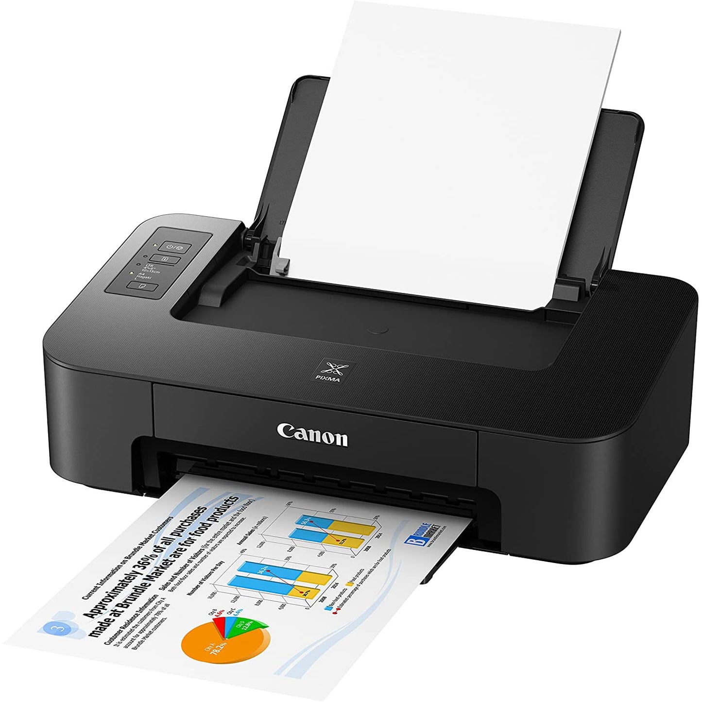 Canon PIXMA TS202 Inkjet Printer for Documents and Photos Up to 4800 x 1200 dpi with Complete Set of Full-Size Ink Cartridges Bundle Including DGE USB