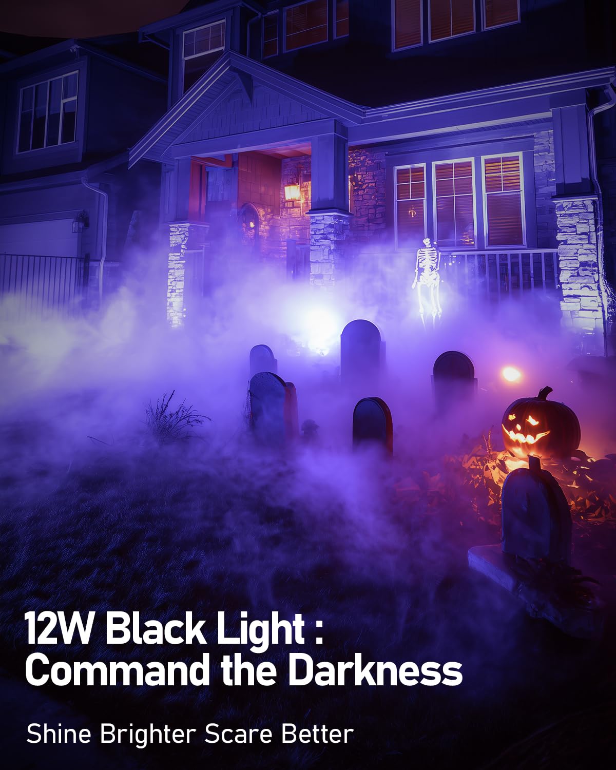 HIBOITEC Halloween Black Light Spotlight Outdoor 12W IP65 Waterproof LED Spot Lights Landscape Lighting with US Plug for Glow Party Body Paint Yard