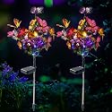 Solar Lights Outdoor Garden Decorative Solar Stake with 2 Pack Decor Powered Waterproof for Garden Yard Pathway