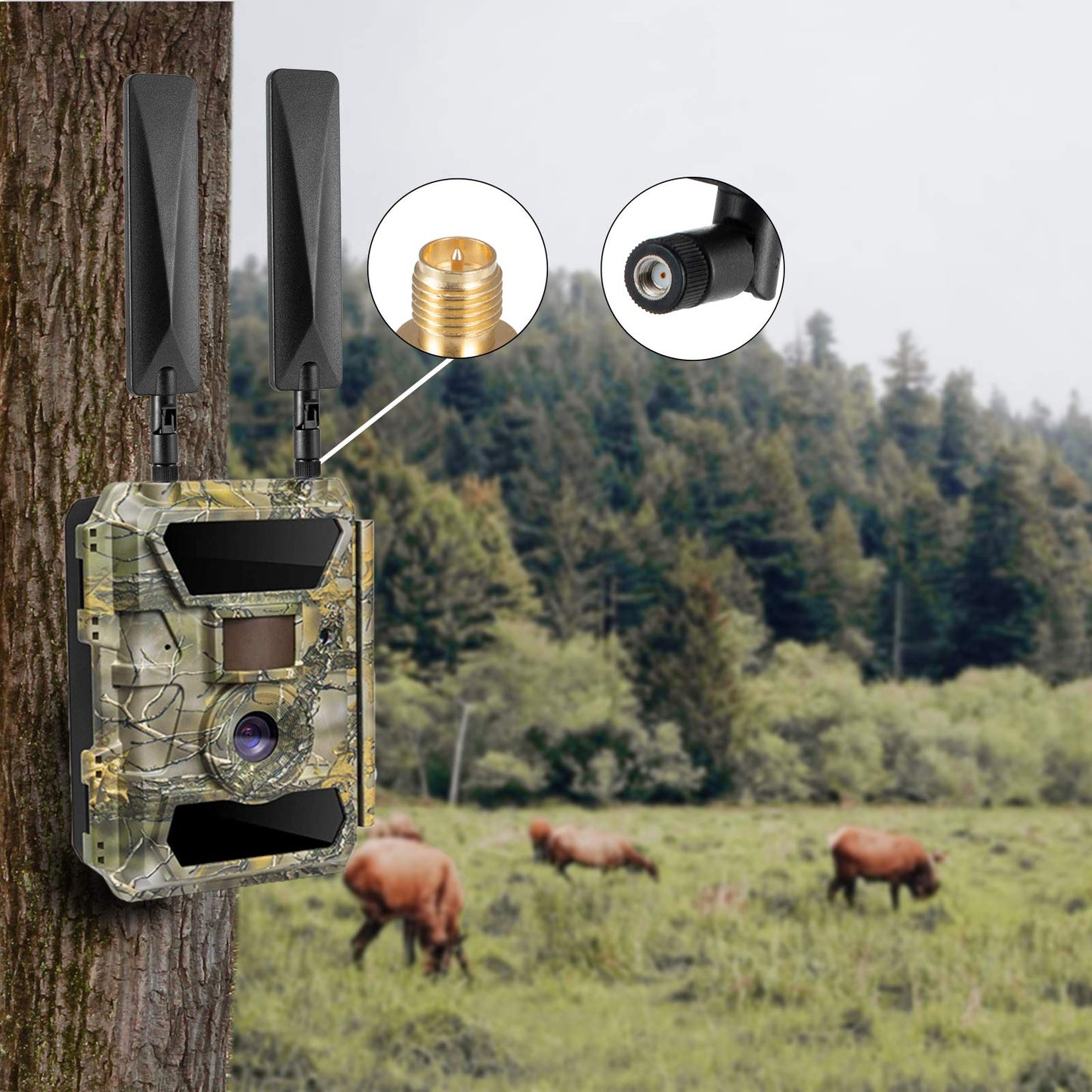 9dBi RP-SMA Male 4G LTE Cellular Trail Camera Long Range Antenna Compatible with Spypoint Tactacam Stealth Cam and More Cellular Trail Camera (Pack