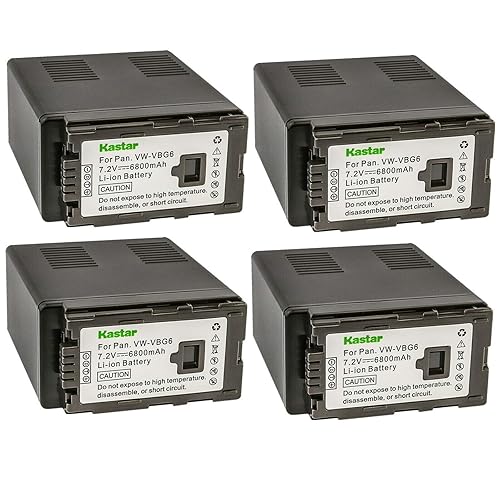 Kastar 4-Pack VW-VBG6 Battery Replacement for Panasonic VW-VBG6 VW-VBG6GK VW-VBG6-K VW-VBG6PPK CGA-E625 Battery, DE-A38, VSK0631, VSK0698 Charger