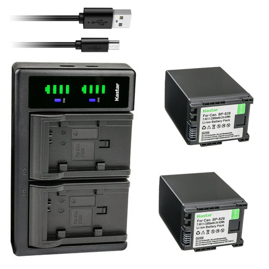 Kastar 2-Pack Battery and LTD2 USB Charger Replacement for Canon BP-820 BP820, BP-828 BP828 Battery, Canon CG-800 CG800 Charger, Canon VIXIA HF G50
