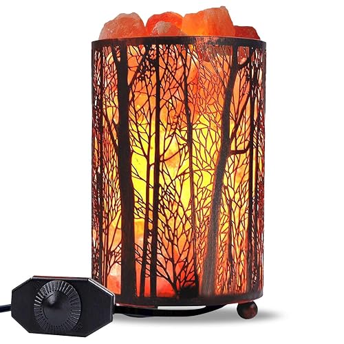 Shineled Himalayan Salt Lamp, Salt Rock Lamp Natural Night Light in Forest Design Metal Basket with Dimmer Switch (4.1 x 6.5 4.4-5lbs), 25Watt Bulbs