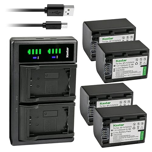 Kastar 4-Pack Battery and LTD2 USB Charger Replacement for Sony HDR-PJ650, HDR-PJ670, HDR-PJ710, HDR-PJ740, HDR-PJ760, HDR-PJ780, HDR-PJ790