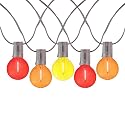 Novelty Lights G40 Filament LED String Light, Translucent Red/Orange/Yellow Bulbs, 25 Globe Lights with 12" Spacing on Green Wire, Indoor/Outdoor