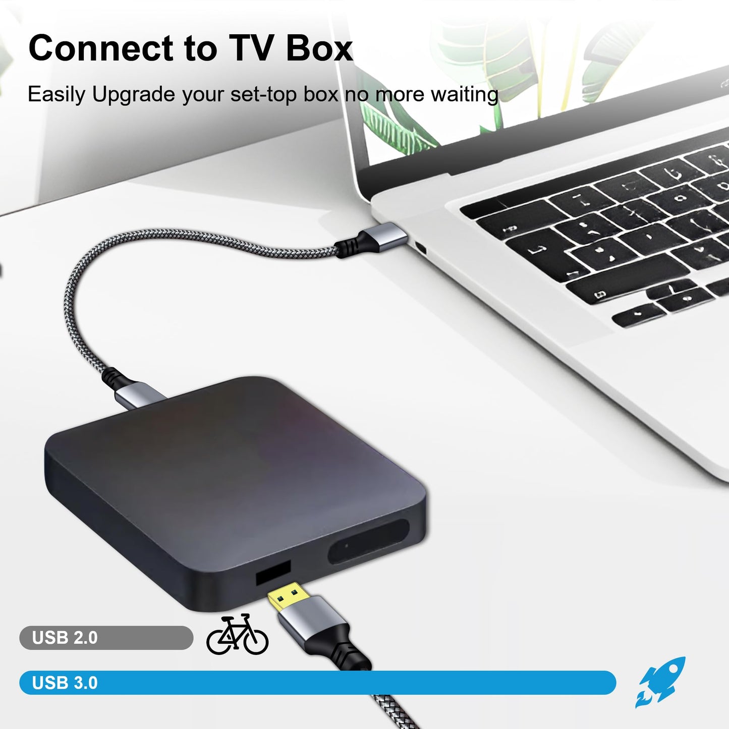 Tan QY USB 3.0 A to A Male Cable 1Ft, USB Male to Male Cable Double End USB Cord Compatible with Hard Drive Enclosures, DVD Player, Laptop (Silver