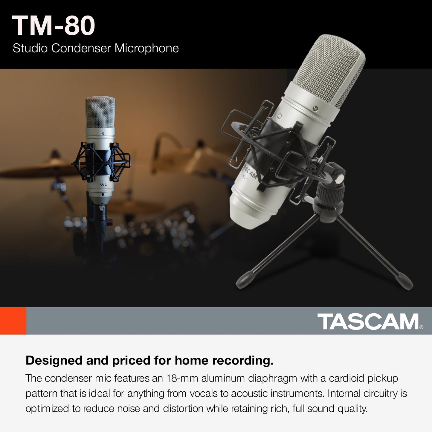 Tascam TM-80 Large Diaphagm Condenser Microphone,Silver
