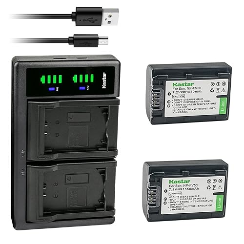 Kastar 2-Pack Battery and LTD2 USB Charger Replacement for Sony HDR-CX350, HDR-CX360, HDR-CX370, HDR-CX380, HDR-CX390, HDR-CX400, HDR-CX410