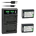 Kastar 2-Pack Battery and LTD2 USB Charger Replacement for Sony DCR-SX65, DCR-SX73, DCR-SX83, DCR-SX85, DEV-3, DEV-30, DEV-5, DEV-50, DEV-50V