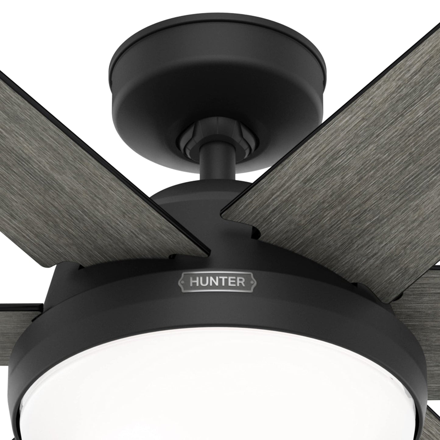 Hunter Fan 60 inch Casual Matte Black Indoor Ceiling Fan with LED Light Kit and Remote Control for Bedroom, Living Room/Family Room, Dining Room