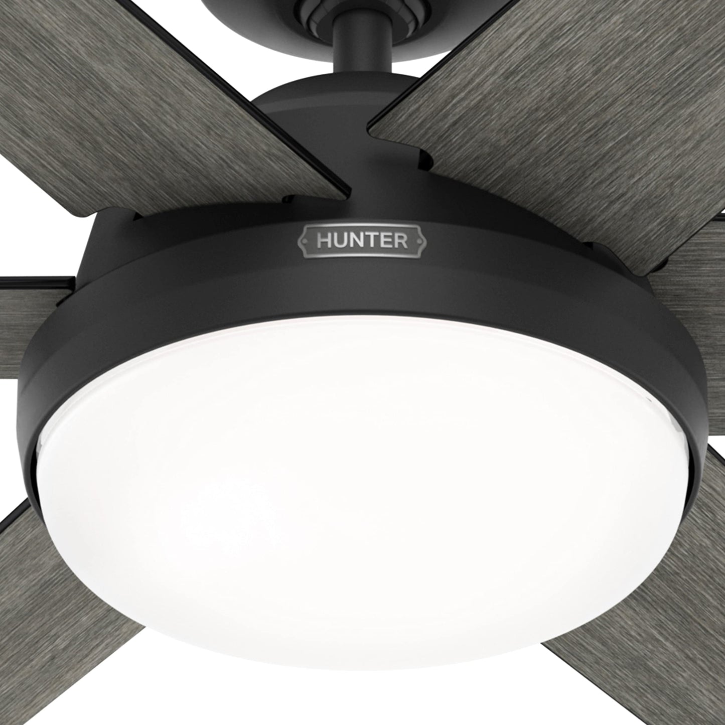 Hunter Fan 60 inch Casual Matte Black Indoor Ceiling Fan with LED Light Kit and Remote Control for Bedroom, Living Room/Family Room, Dining Room