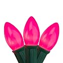 Northlight Set of 25 Opaque Pink C9 Christmas Lights - Green Wire