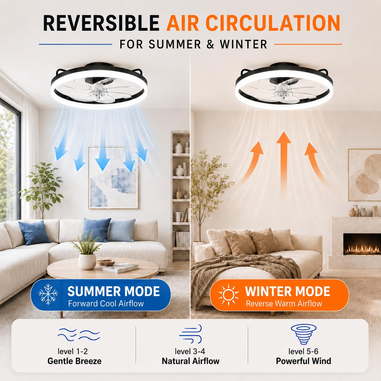 20 Inch Ceiling Fan Light with Lights and Remote, Easy Install Ceiling Fans