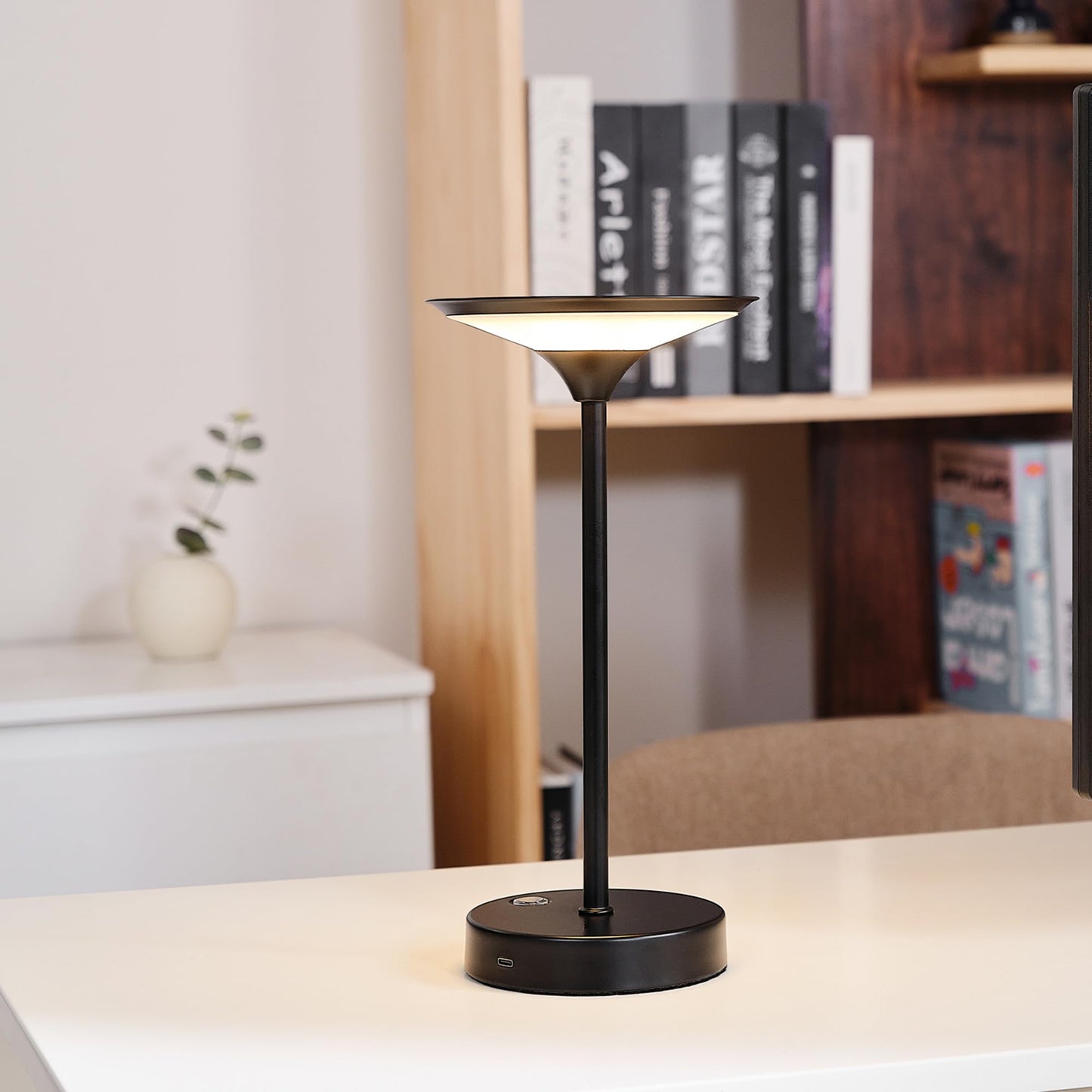 Globe Electric x Novogratz 60000031 12" 1.5W LED Integrated Outdoor Table Lamp, Matte Black, Frosted Diffuser, USB-C Charging Cable, On/Off Touch