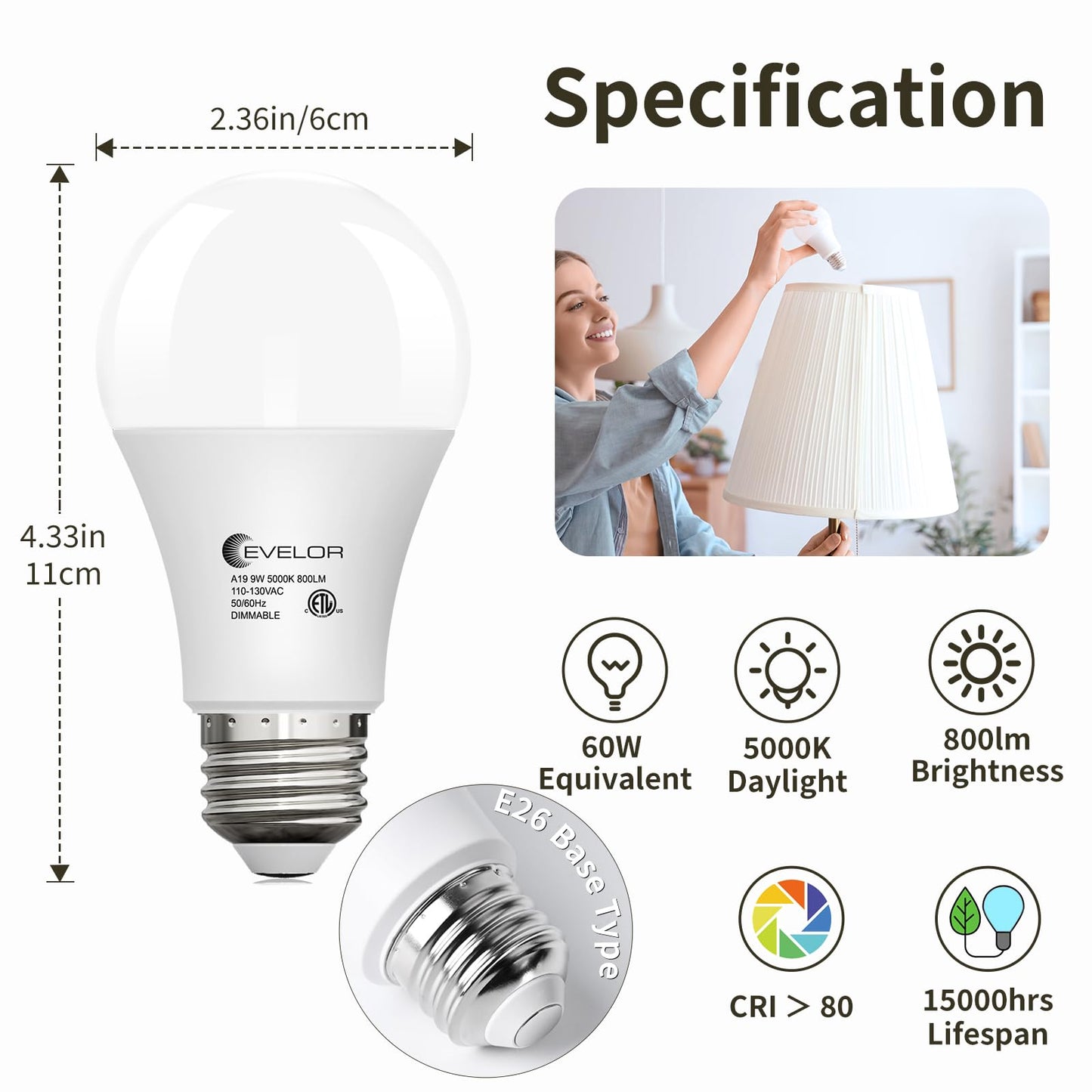 evelor 6 Pack LED Light Bulbs,60 Watt Equivalent Daylight 5000K,A19