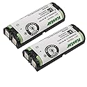 Kastar 2-Pack 2.4V 1000mAh Ni-MH Battery Replacement for NEC DTL-8R-1 ~ DSX/Dterm Cordless DECT Phone 730095 / BT-1009 Stock# 730643
