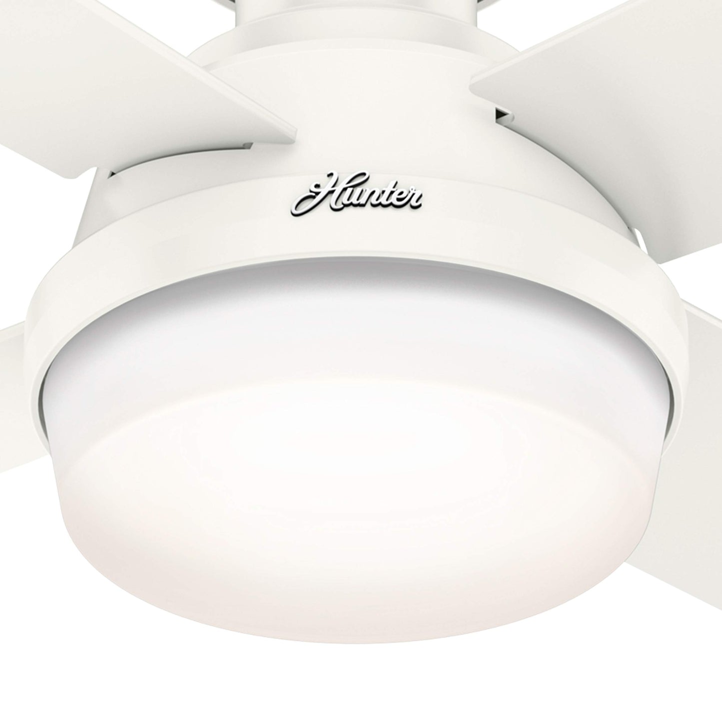 Hunter Fan 44 inch Low Profile Fresh White Indoor/Outdoor Ceiling Fan with Light Kit and Remote Control (Renewed)