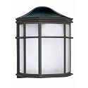 Nuvo Lighting 60/539 Transitional One Light Outdoor Wall Mount from Cage Lantern Collection in Black Finish