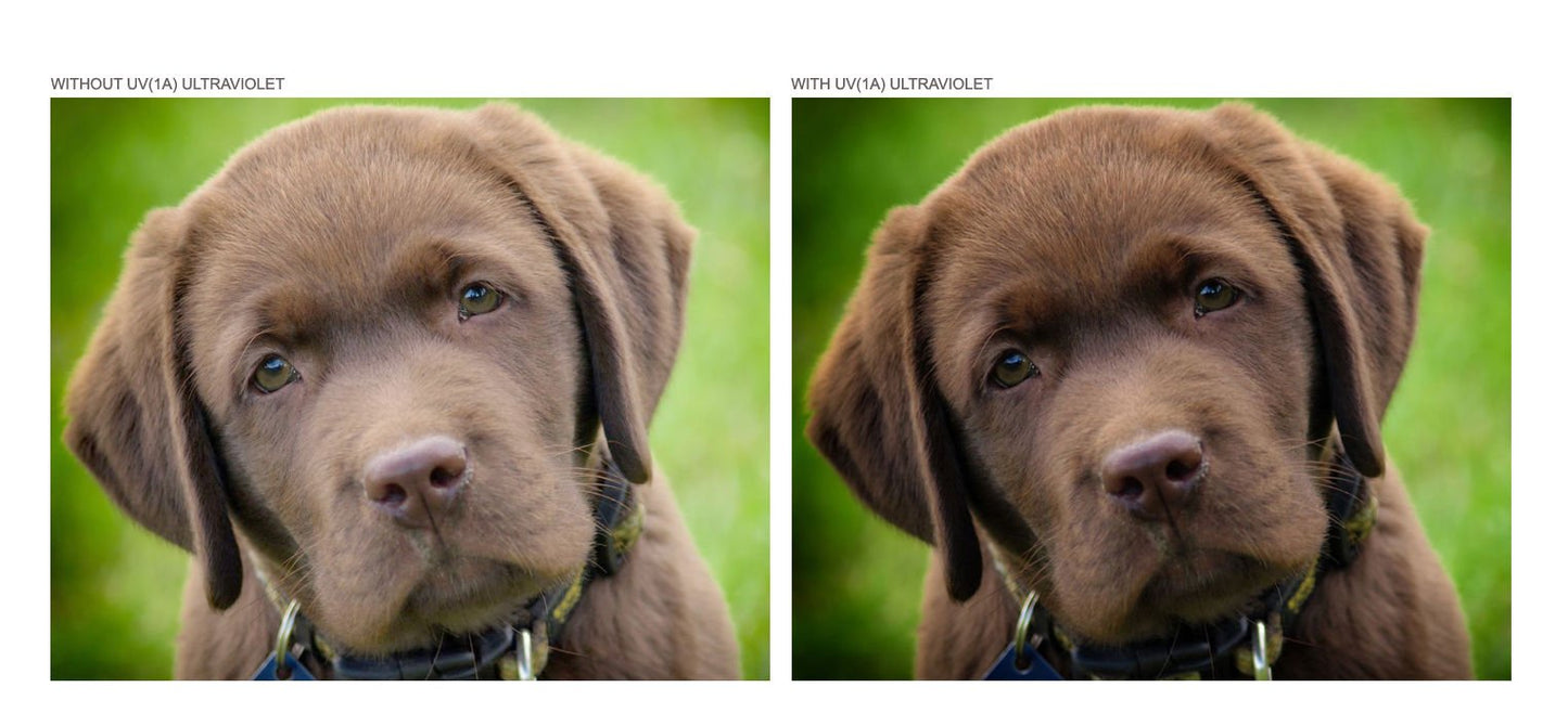 Canon EF-S 18-55mm f/3.5-5.6 is High Grade 3 Piece Lens Filter Kit