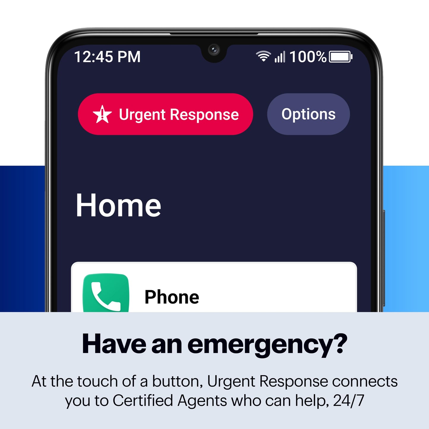 LIVELY Jitterbug Smartphone for Seniors, No SIM Needed, Smart4