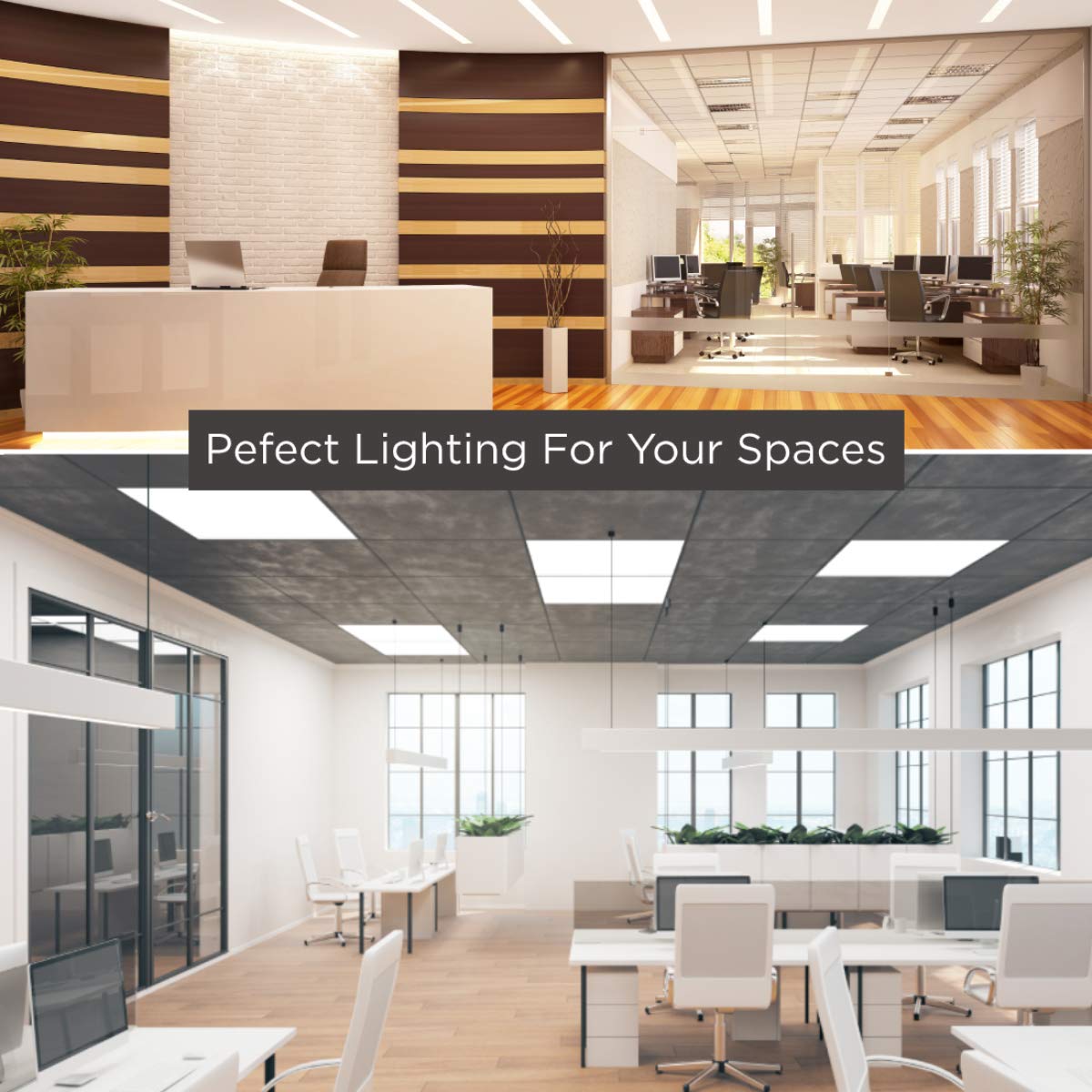 GoodBulb 6-Watt 9 Inch T5 Fluorescent Light Bulb | 4100K Cool White Medium Bi-Pin Base | 240 Lumens 65 CRI 6000 Life Hours | Instant/Programmed Start