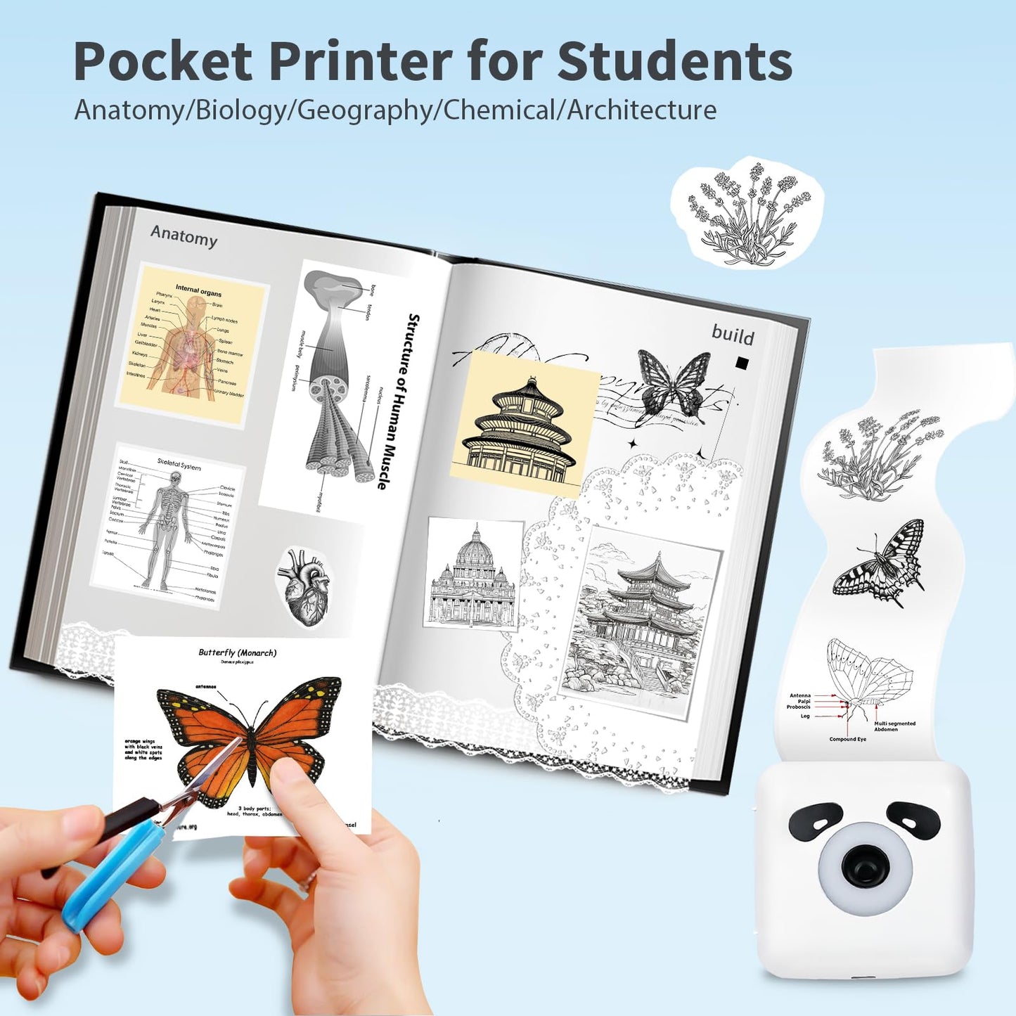 LFPERT Sticker Printer, TP6S Print Pods Mini Printer, Portable Bluetooth Sticker Maker Machine, Inkless Thermal Pocket Printers for Photos, Study