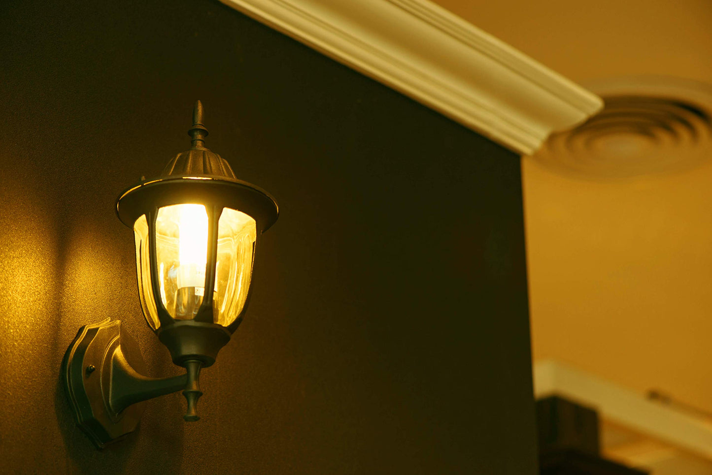 Un-Edison A19 LED Bug Light - Replaces 100W - Yellow Spectrum E26 Medium Outdoor Bulb for Porch Patio & Deck - Upgrade Your Old Painted Incandescent