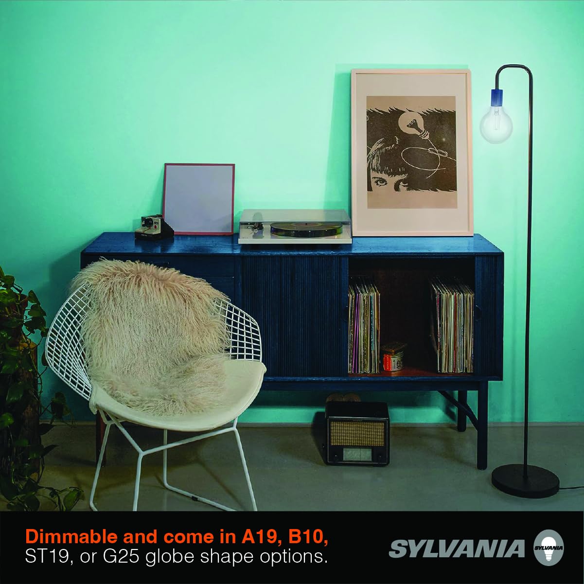 Sylvania G25 Clear Globe LED White Filament Bulb, 5W, Dimmable, 500 LMS, Medium Base, 5000K, Daylight - 2 Pack (42177)