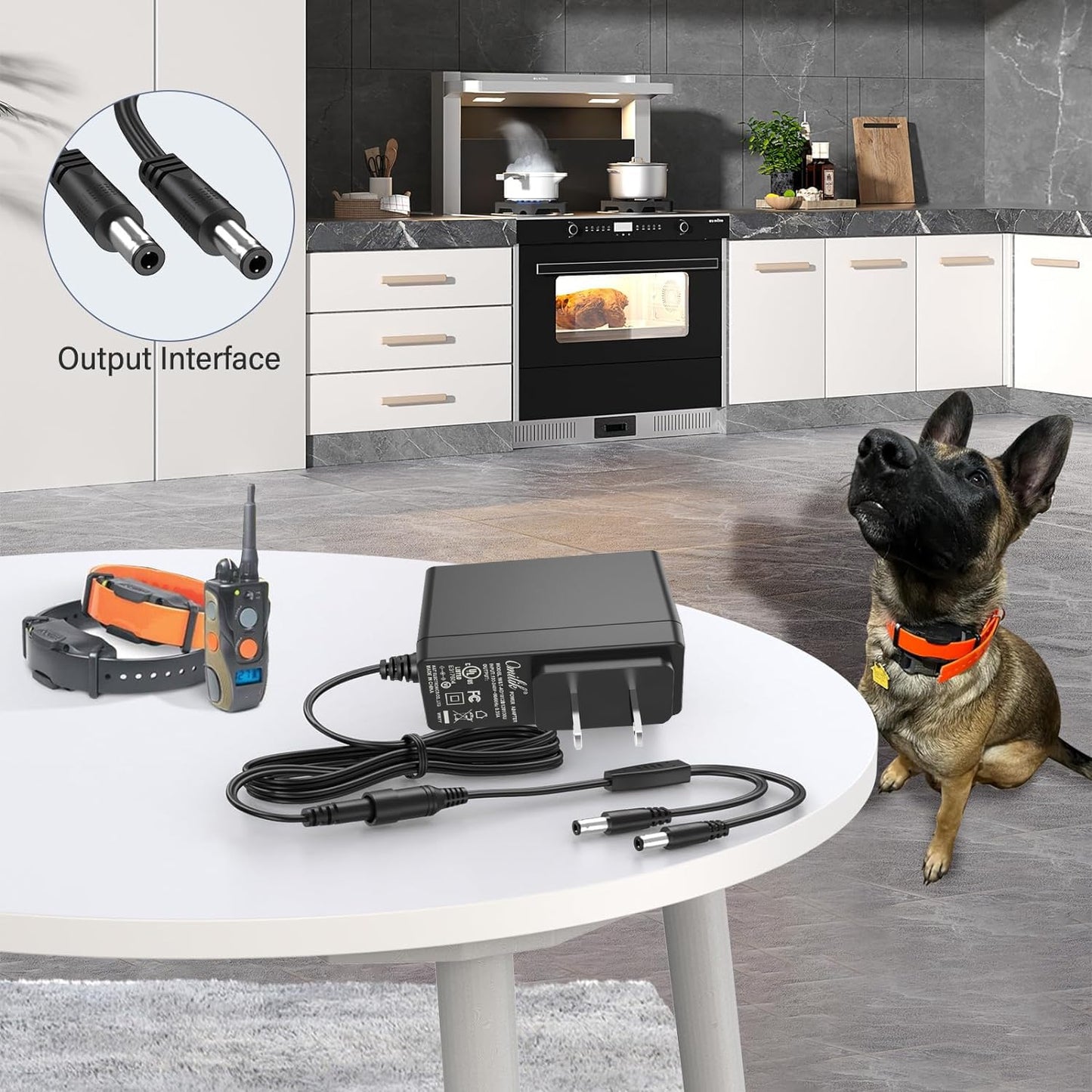 UpBright 10V AC/DC Adapter Compatible with Dogtra Super-X 3502NCP ARC 1900S 1902S EDGE 2300NCP 2500T&B 3500NCP Collar HK-AJ-100A150-US BC10V1500/5.5…