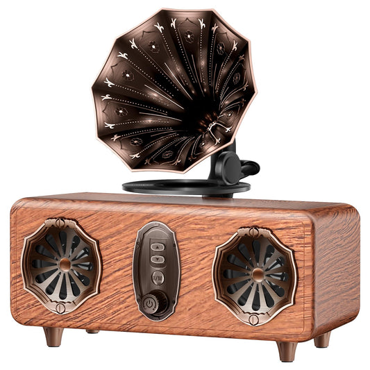 FREEFISH Retro Bluetooth Speaker Retro Radio with 5.4 Bluetooth Version, FM Radio, Bass Vintage Wireless Speaker Support USB/TF/AUX Player for Home
