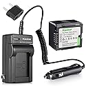 Kastar Battery and Charger Replacement for Panasonic VDR-D230 VDR-D250 VDR-D300 VDR-D310 VDR-M30 VDR-M50 VDR-M53 VDR-M70 VDR-M95 VDR-M250 Camcorder