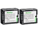 Kastar 2 Pack Battery for Panasonic CGR-DU06 CGR-DU07 CGA-DU14 CGA-DU07 CGA-DU06 CGR-DU21 CGR-DU21A RV-4401 RV-5401 Camcorder