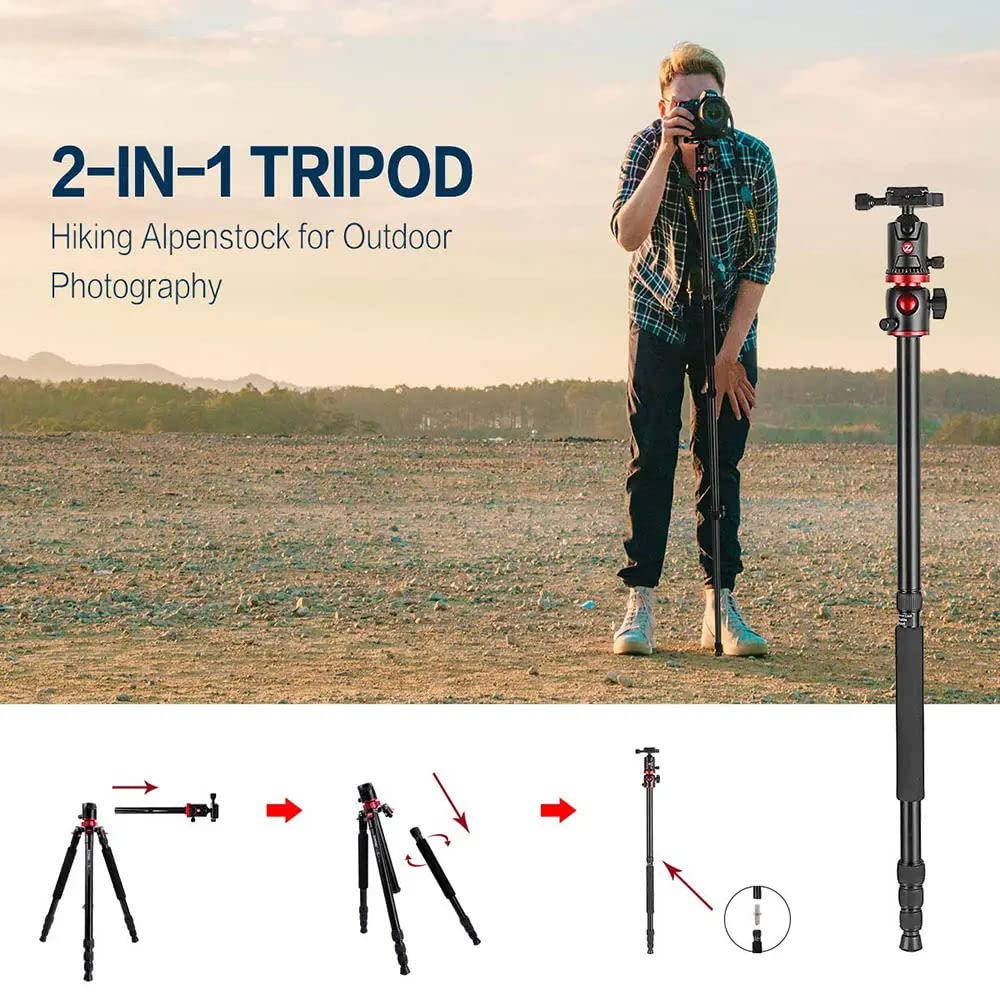 ZOMEi 75'' Tripod,Camera Tripod for DSLR,Ball Head Tripod Professional Tripods 4 Section Horizontal Tripod with 360 Degree Ball Head Plate for Canon