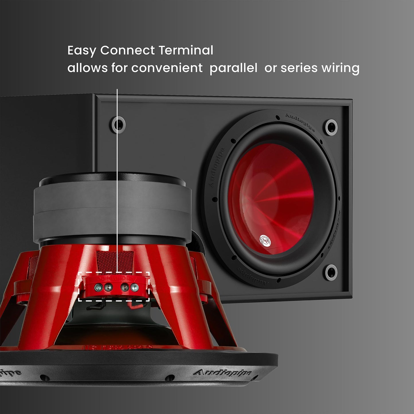 Audiopipe 12" Eye Candy Aluminum Cone Subwoofer (TXX-APD-12RD), Superior Performance, 1600 Watts, 120 Oz Magnet, BASV Voice Coil, Aluminum Basket