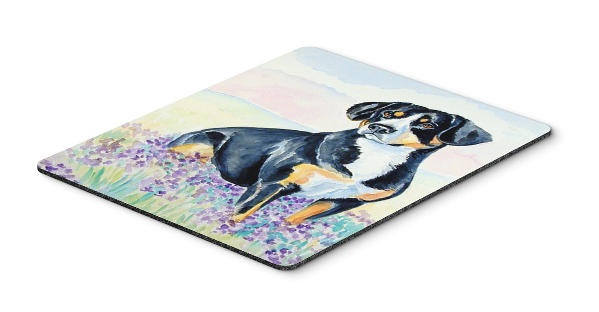 Caroline's Treasures 7030MP Entlebucher Mountain Dog Mouse Pad, Hot Pad or Trivet for Home Office Gaming Working Computers Laptop Mouse Mat,Washable
