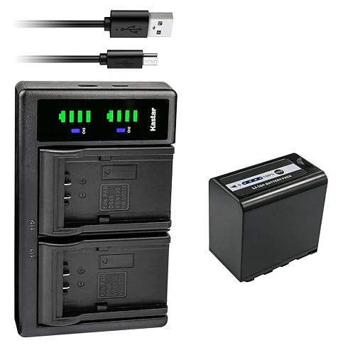Kastar 1-Pack Battery and LTD2 USB Charger Compatible with Panasonic AG-VBR59 AG-VBR59G AG-VBR89 AG-VBR89G AG-VBR118 AG-VBR118G VW-VBD29 VW-VBD58