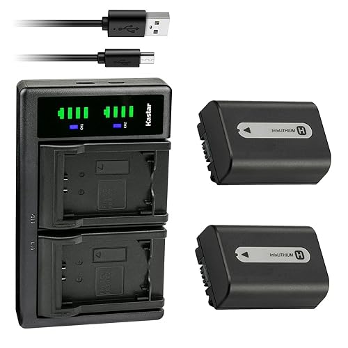 Kastar 2-Pack NP-FH50 Battery and LTD2 USB Charger Replacement for Sony HDR-XR100, HDR-XR105, HDR-XR106, HDR-XR200, HDR-XR500, HDR-XR520, SLT-A35