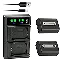 Kastar 2-Pack NP-FH50 Battery and LTD2 USB Charger Replacement for Sony DCR-SX40, DCR-SX41, DCR-SX50, DCR-SX60, HDR-CX100, HDR-CX105, HDR-CX106