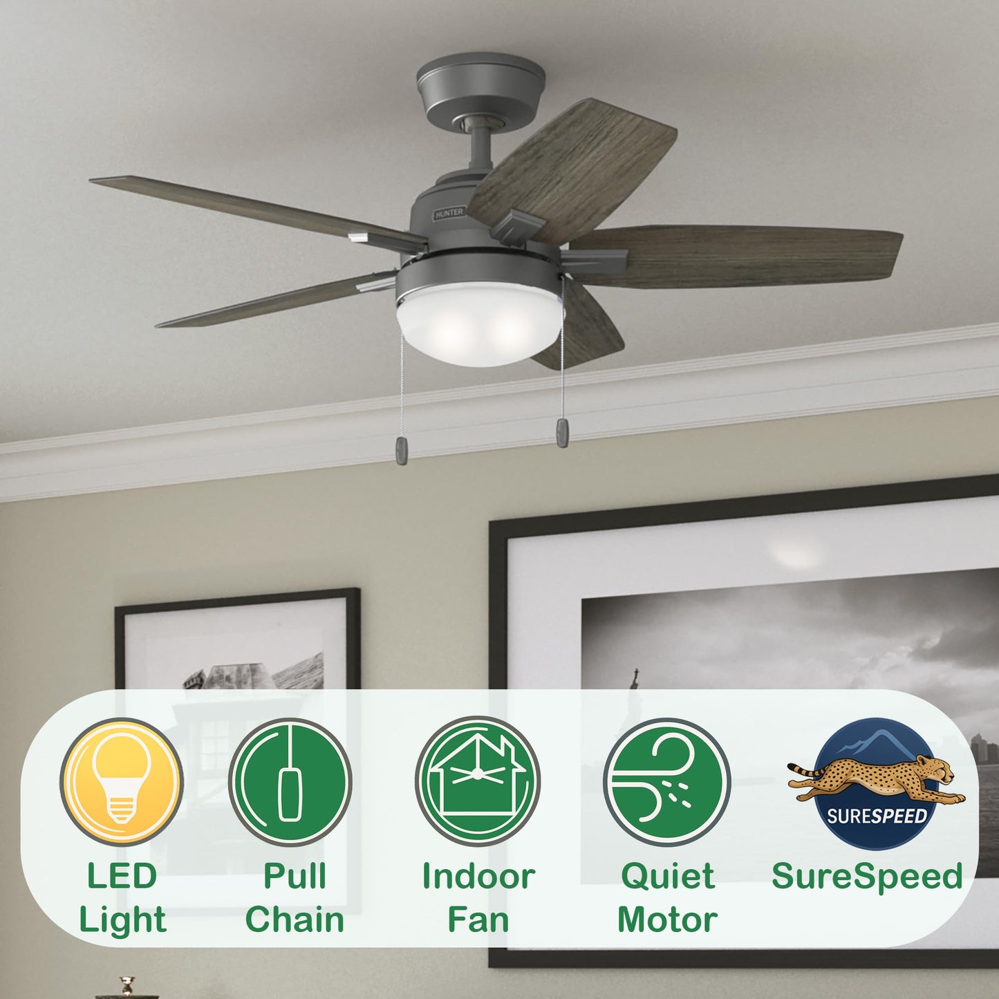 Hunter Fan 44 Inch Matte Silver Indoor Ceiling Fan with LED Light and Pull Chain for Small Room, Baby Room, Kitchen, Basement (Renewed)