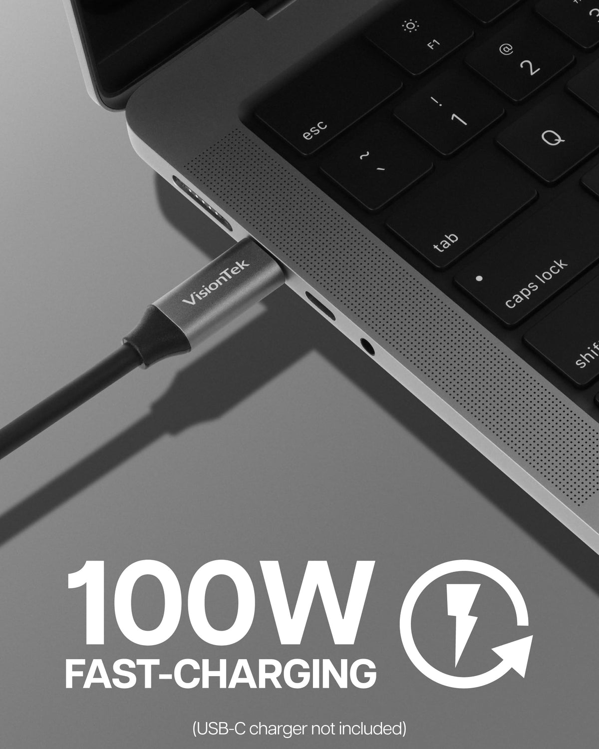 VisionTek USB-C Cable USB 3.1 Gen 2 (3.3ft) - 100W 10Gbps, DP Alt Mode