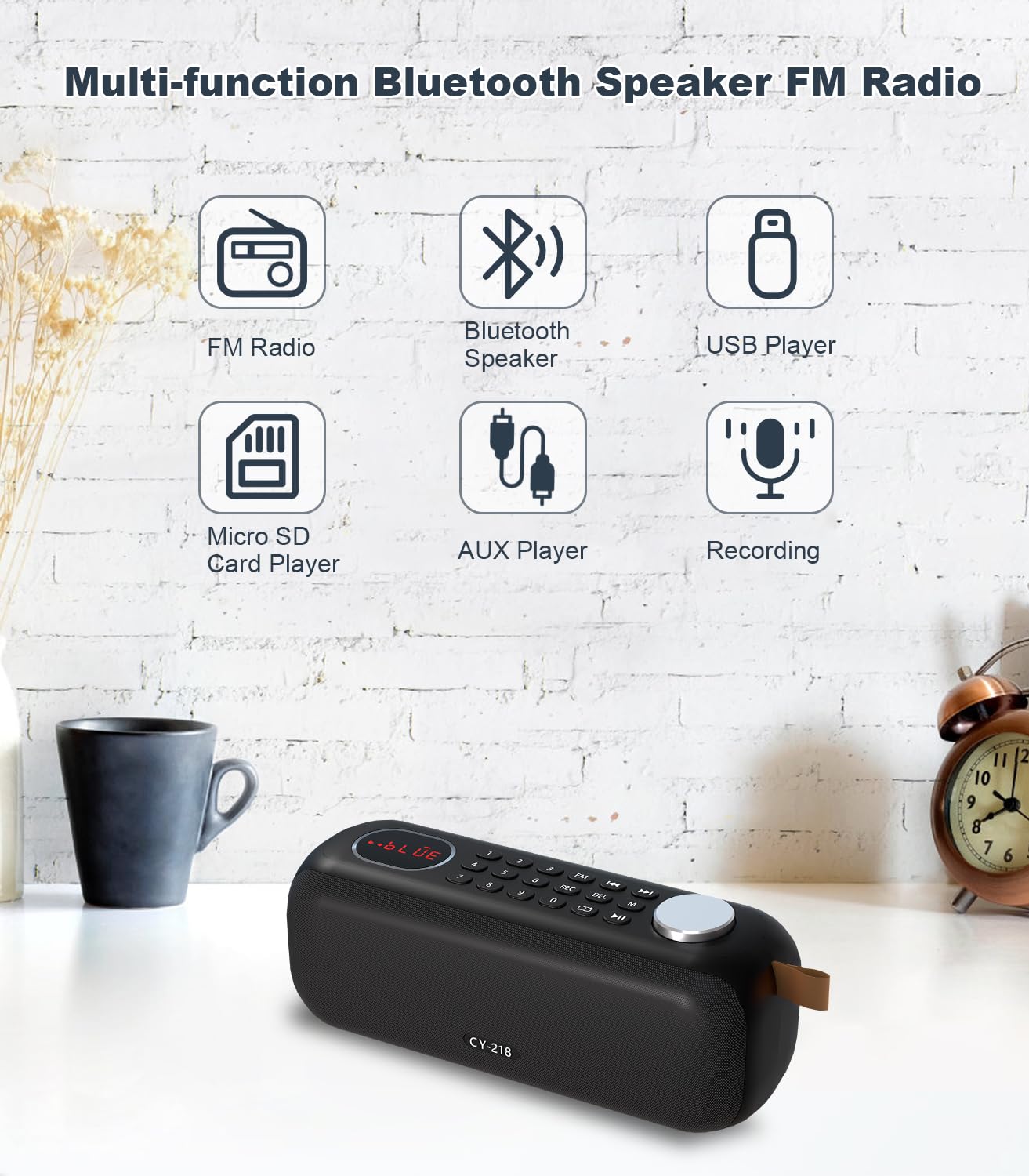 Portable Bluetooth Speaker FM Radio Digital, Support USB/SD Card MP3 Music Player/AUX/REC, Build-in 3000mAh Rechargeable Battery, 10W Powerful Speaker