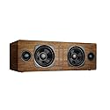 Audioengine All in One A2+ (B2) Portable Wireless Speaker - Audio with Lossless aptX Bluetooth and Analog Audio Input for Phone, Tablet, and Computers