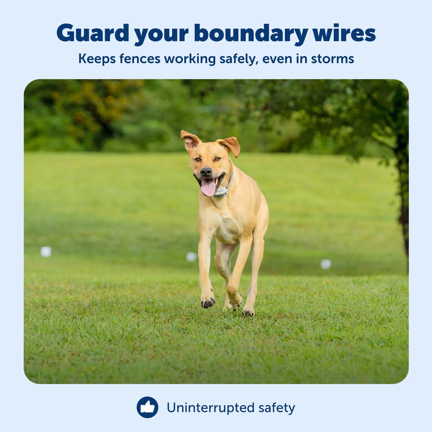 PetSafe Surge Protector for Pet Fences - Surge Protection Device - Electrical Protector - Durable Pet Fence Kit - Easy Installation - Fence Guard