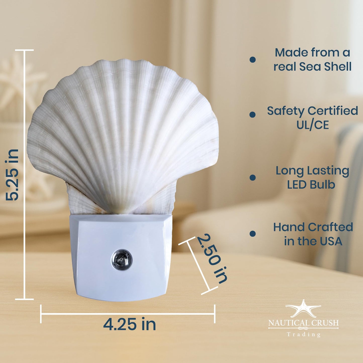 Nautical Crush Trading Seashell Night Light - Auto Beach Night Light with White Clam - Shell Light for Bathroom - Sea Shell Lamp - Seashell Lamp Plug