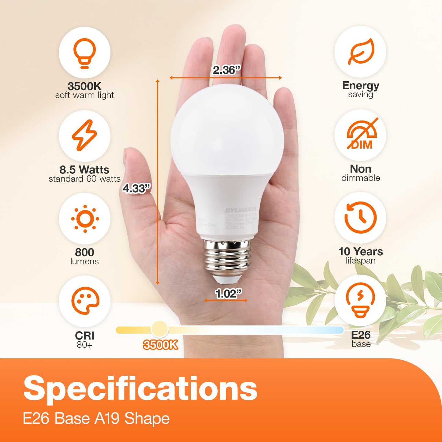 SYLVANIA LED Light Bulb, 60W Equivalent A19, Efficient 8.5W, Medium Base, Frosted Finish, 800 Lumens, Bright White - 4 Pack (79704)