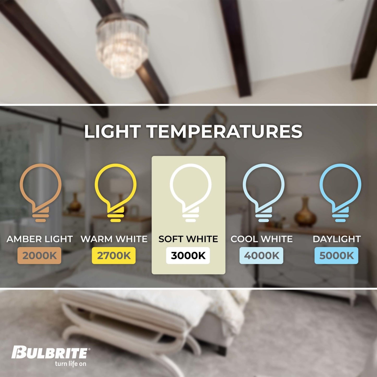 Bulbrite LED Filament Pack of (4) 3 Watt Dimmable 7.5 Inch T9 Light Bulb with Clear Glass Finish and Medium (E26) Base - 3000K (Soft White Light), 300