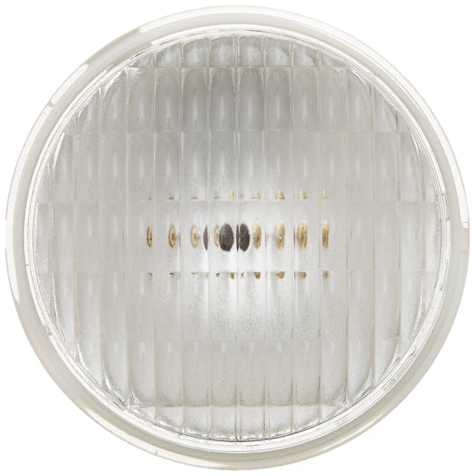 Halco Lighting Technologies HP36WFL35/24V T8U2FR12/850/DIR/LED 70306 35W PAR36 WFL 24V MP-Term Prism Halogen Bulbs