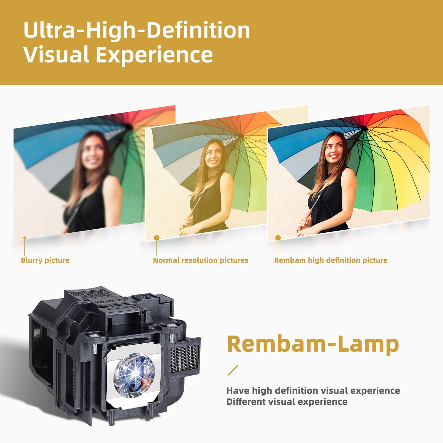 Rembam V13H010L88 Original Quality Replacement Lamp w/housing for Epson Elplp78 Elplp87 Elplp88 Powerlite Home Cinema 730HD 740HD VS230 VS335W EX3240