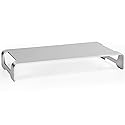 VIVO Silver Aluminum 16 inch Wide Monitor Riser, Ergonomic Desktop Stand, Modern Tabletop Organizer STAND-V000H